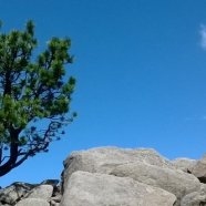 Power of Attorney is Empowering